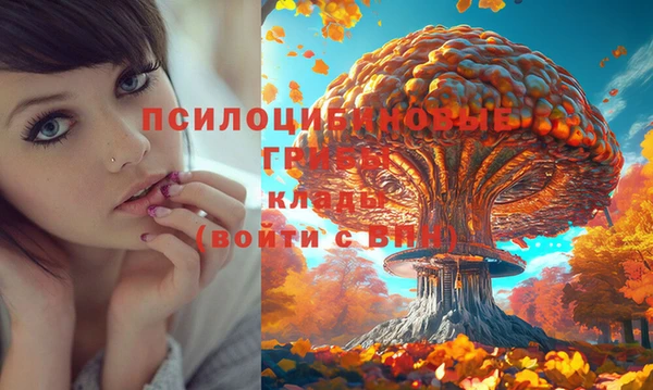 PSILOCYBIN Зеленодольск