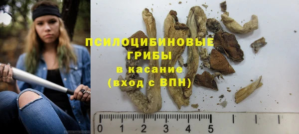 гидра Володарск