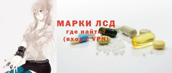 гидра Володарск