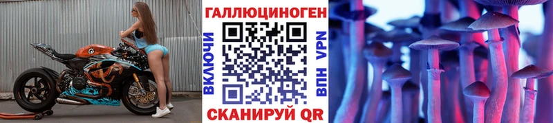 Галлюциногенные грибы GOLDEN TEACHER  нарко площадка какой сайт  Лосино-Петровский 